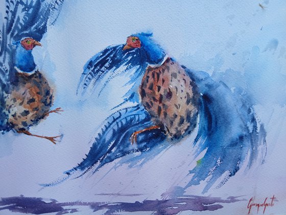 pheasant 4