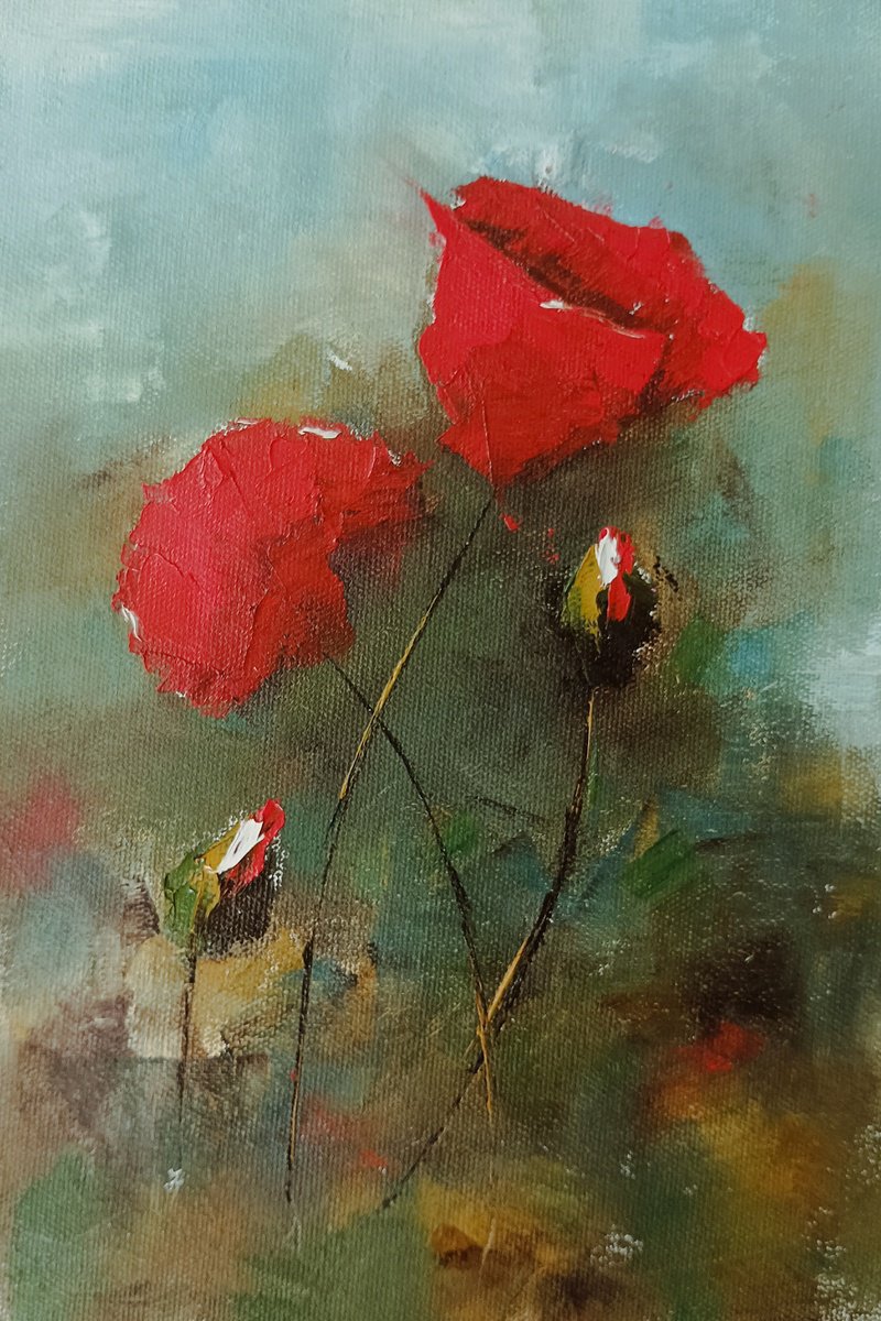 Red poppy flowers 2 by Marinko Saric