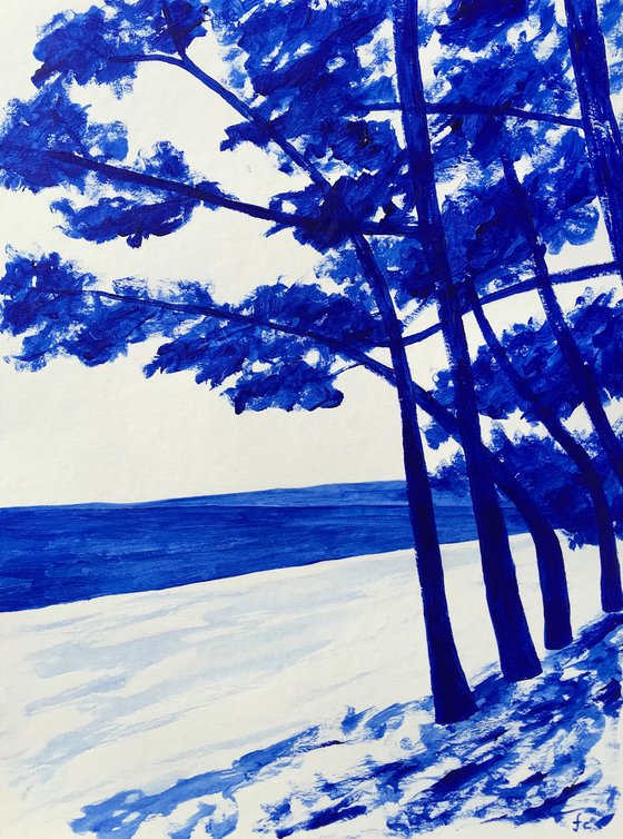 Avenue du Cap Coz