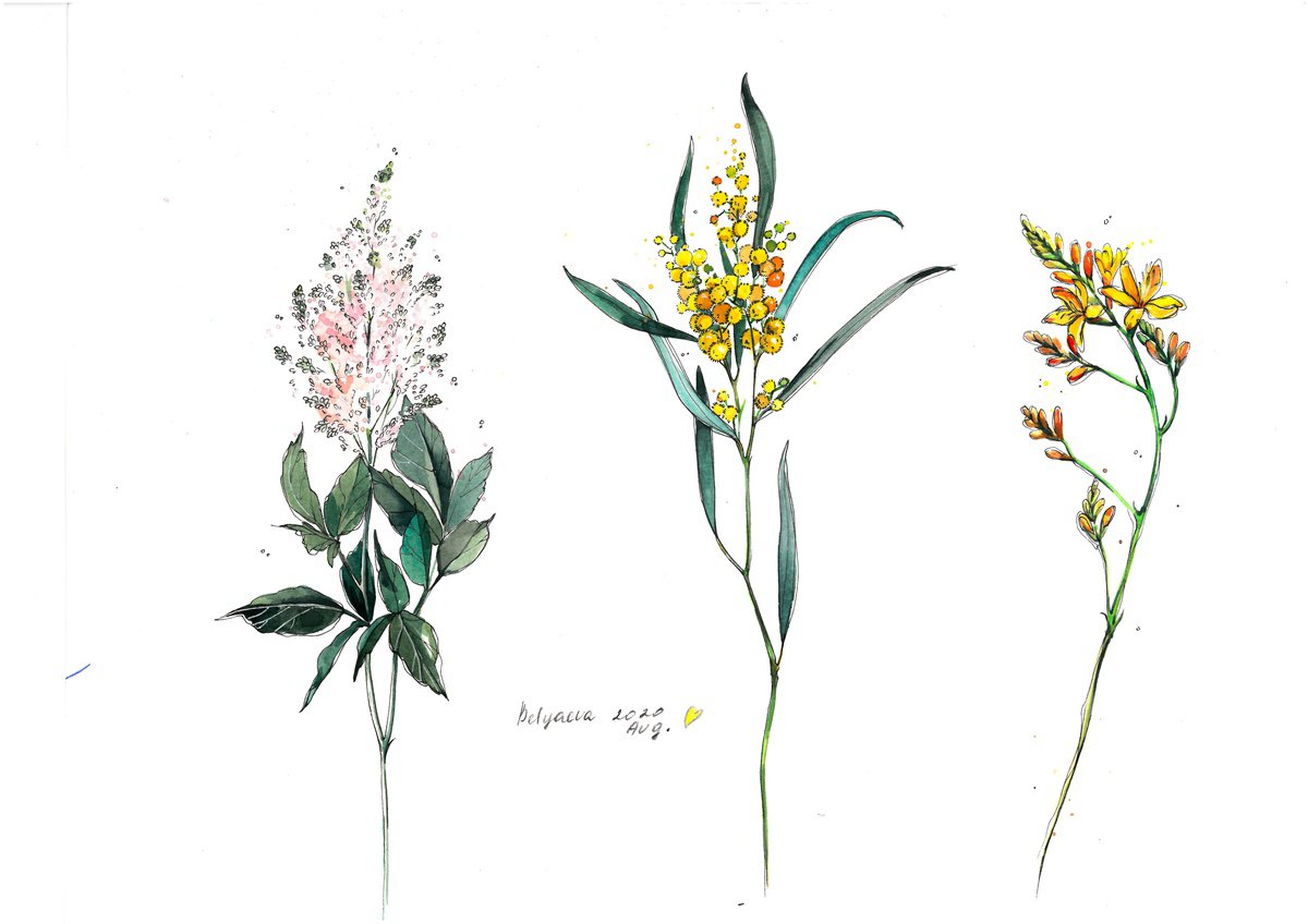three stems of flowers by Belyaeva Oleksandra