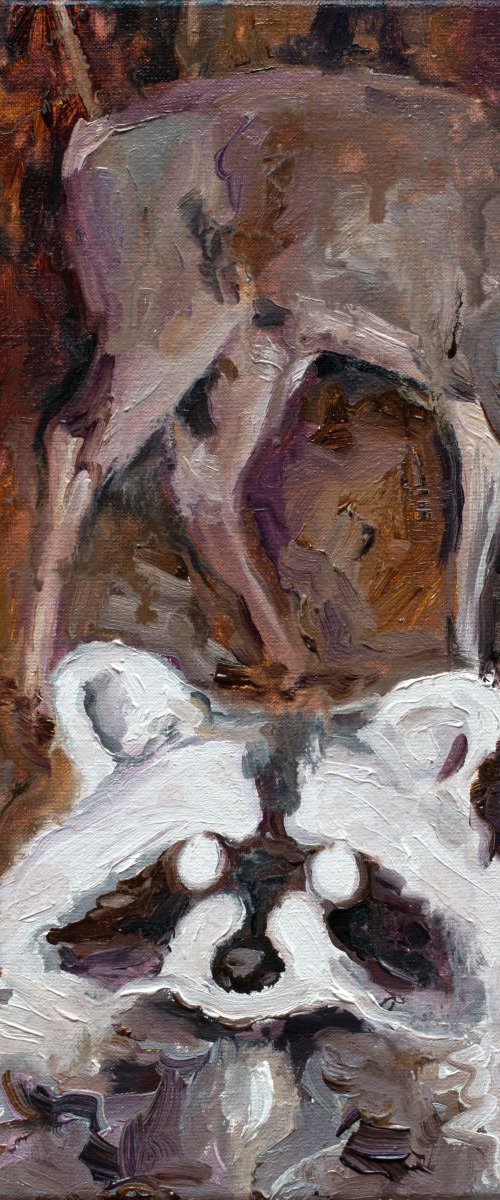 Nocturnal Animals №2 by Oleksandr Balbyshev