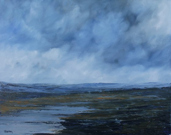 Wetland Storm, Irish Landscape