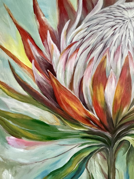 “Flame of Life – King Protea”
