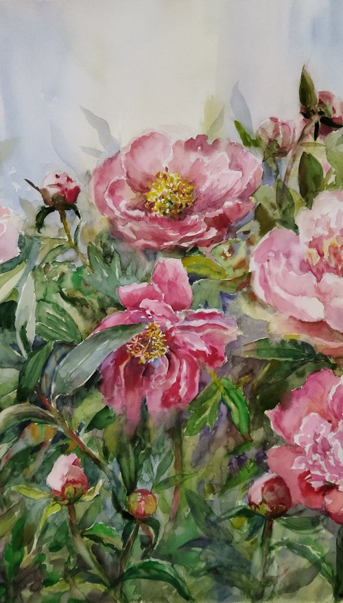 Pink peonies by Ann Krasikova