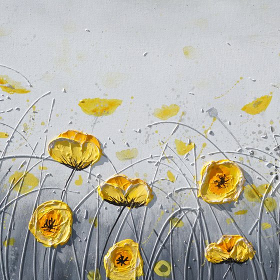 Yellow Golden Poppies