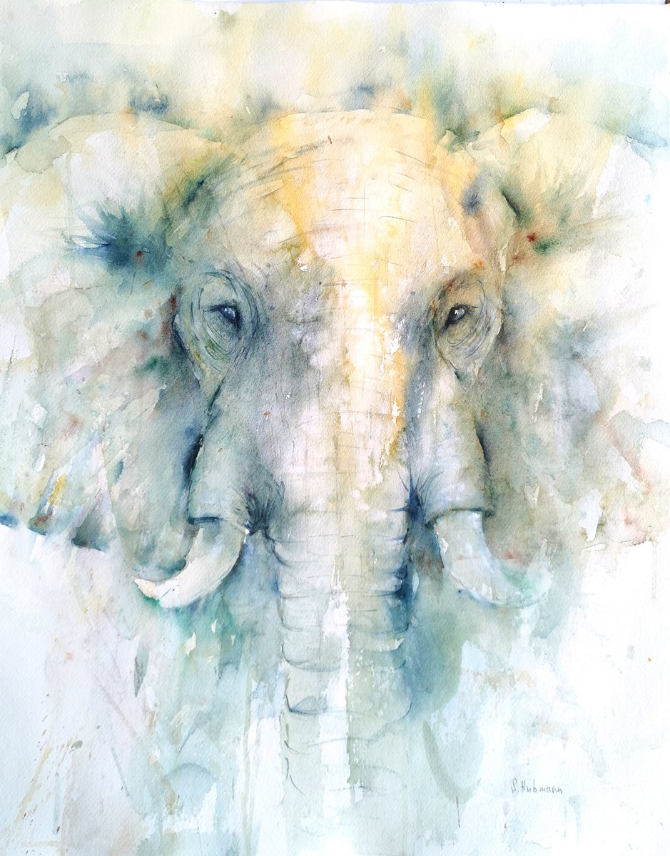 Elephant by Sveta Hubmann
