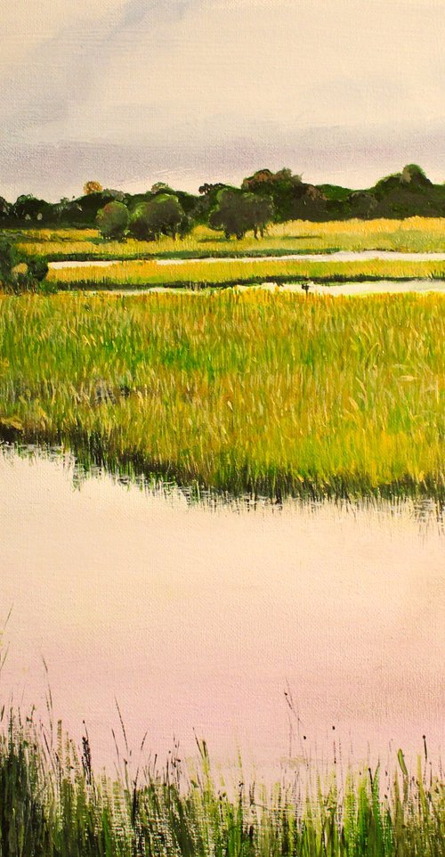 The Marshlands by Ken Vrana