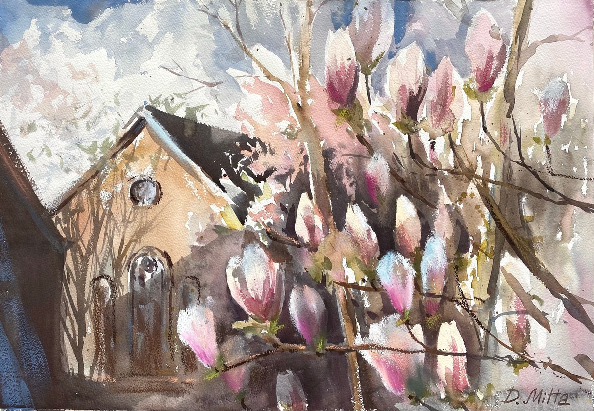 Spring in Amsterdam by Daria Mitta