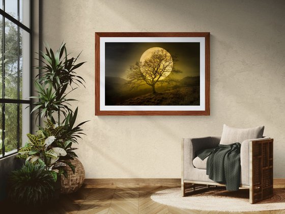 HARVEST MOON II
