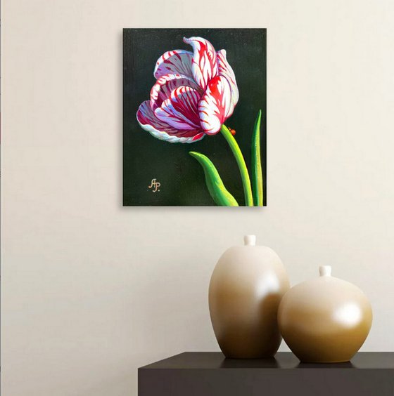 Tulip and ladybug