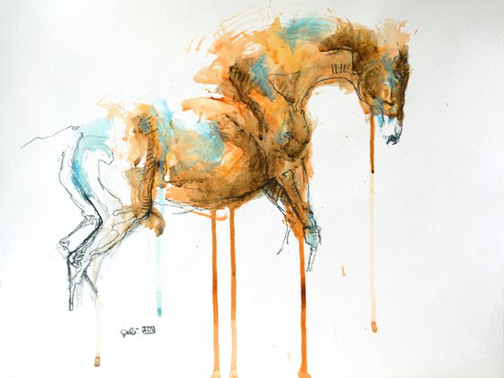 Equine Nude 94t