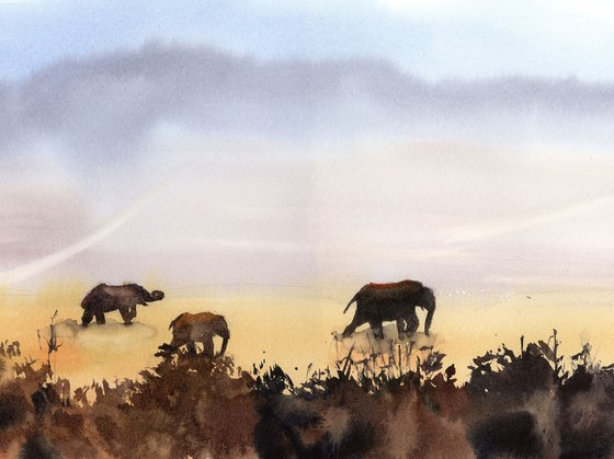 Evening Elephants