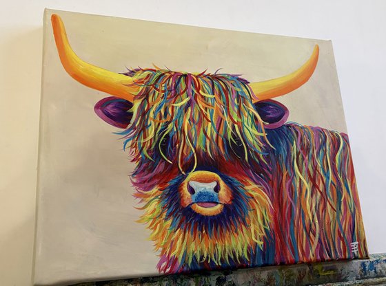 Harry the Highland Cow