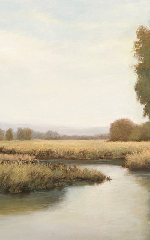 Autumn Wetlands 251128 by Don Bishop