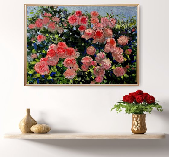 Roses in Bloom