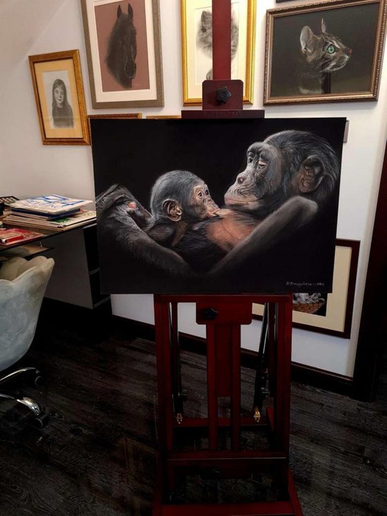 ,, Mother's Love'' realism gorillas pastel on pastelmat