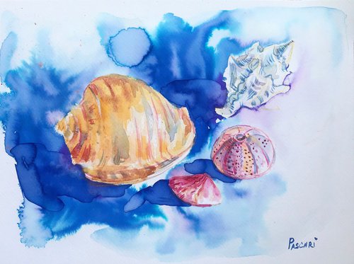 Shells by Olga Pascari