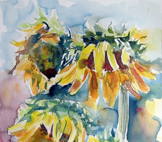 Sunflowers