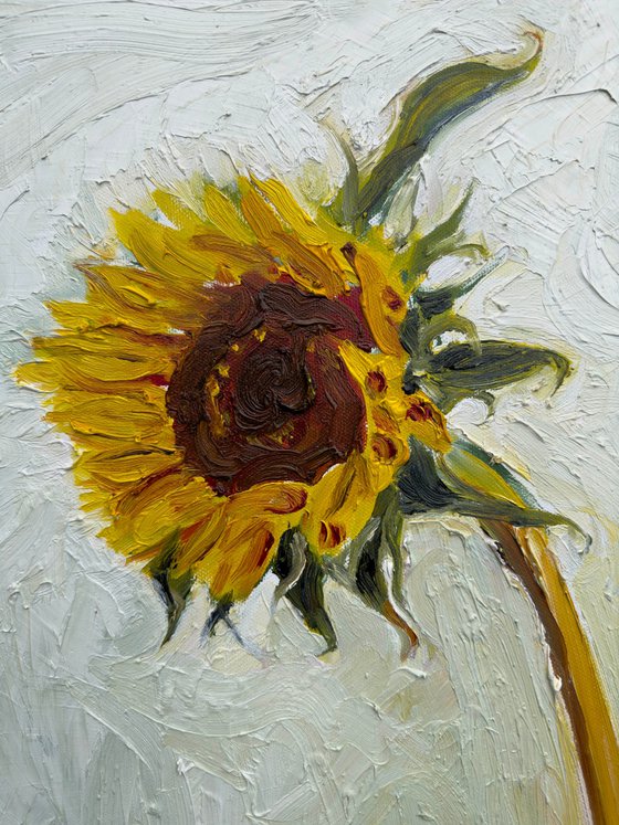 Sunflower1