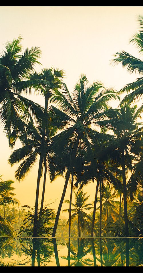 Vetyver Pool, Poovar, Kerala by Richard Heeps