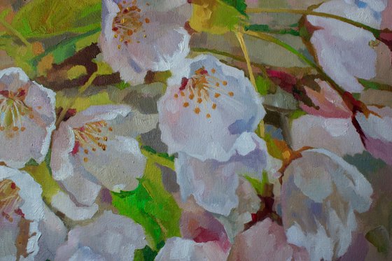 Tender Bloom