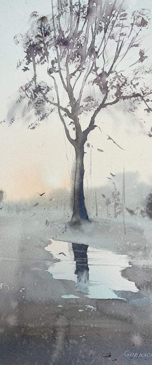 Morning fog by Eugenia Gorbacheva