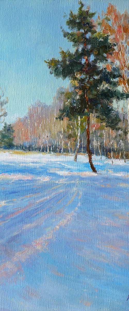 Shadows Of Sunny February by Nikolay Dmitriev