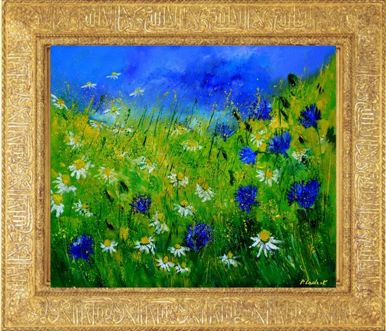 Cornflowers and daisies