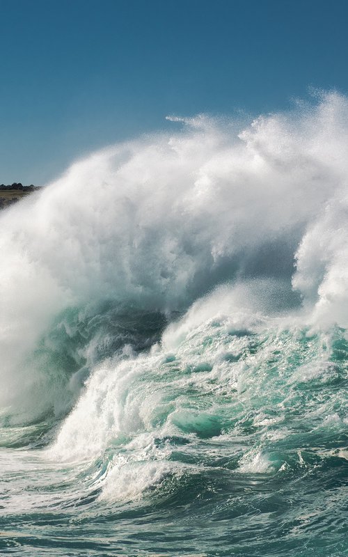 Bondi Rush by Anton Gorlin