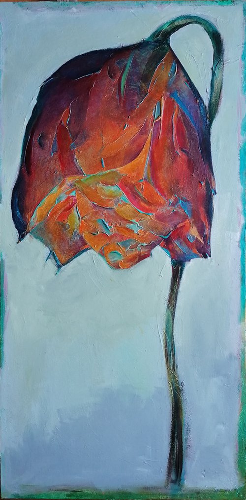 Red Golden Rose by Louisa Corr