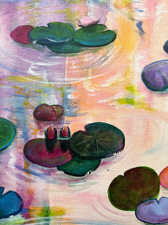 Waterlilies At Sunset 4