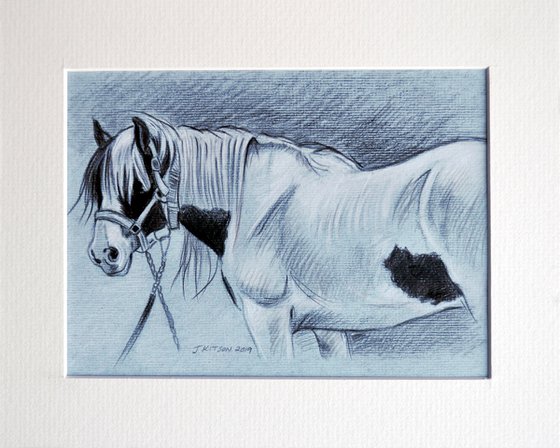 Tinker Mare (Gypsy Cob Pony)