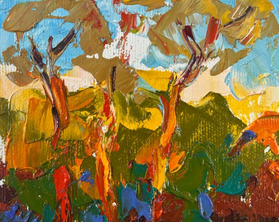 Summer evening in the forest