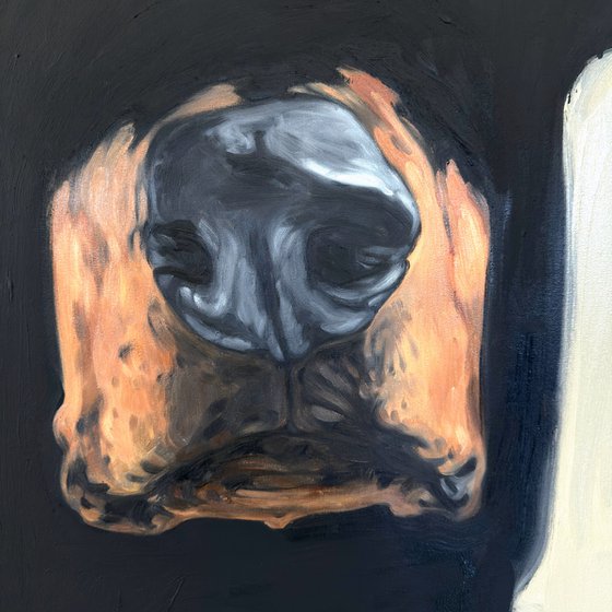 Dobermann