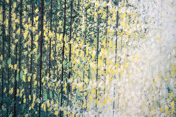 Spring Trees In Dawn Light