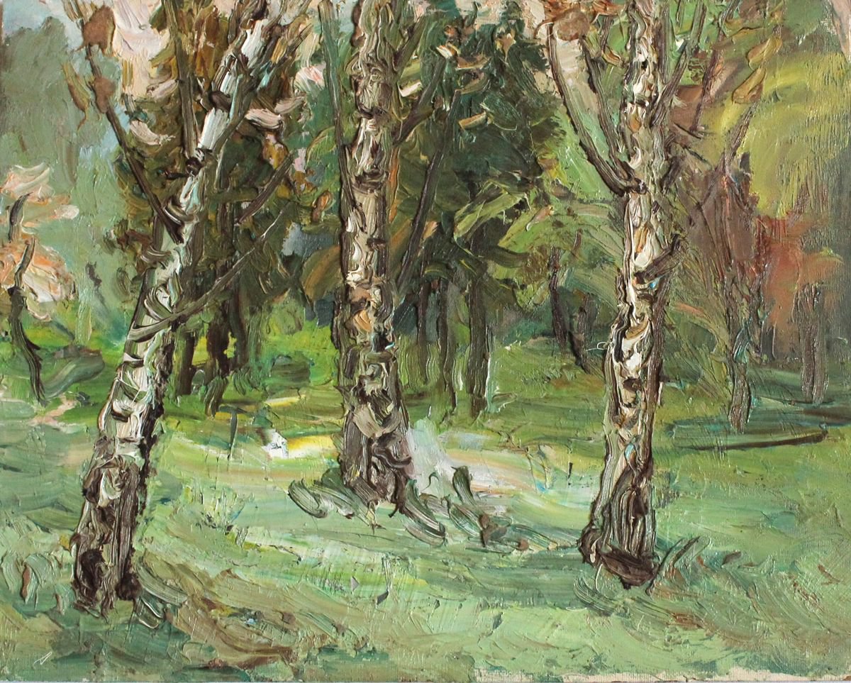 Etude with birches. by Viktor Makarov
