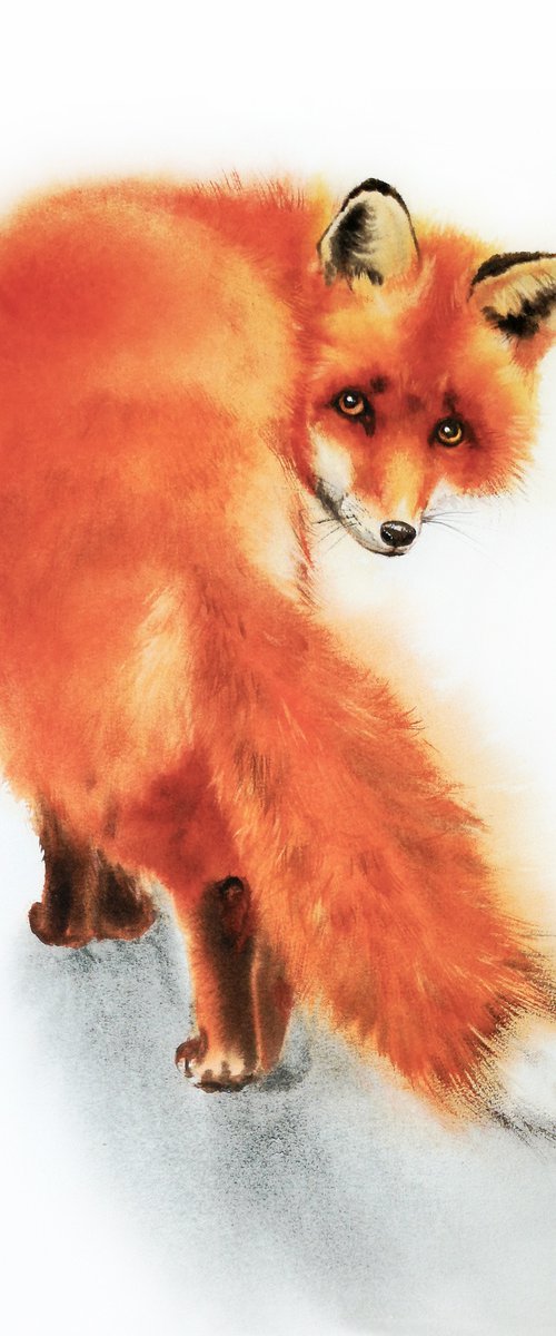 Red Fox Watercolor – wildlife by Olga Beliaeva Watercolour