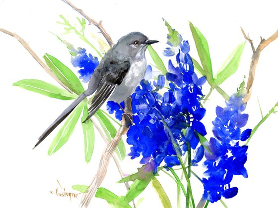 Mockingbird and Bluebonnet