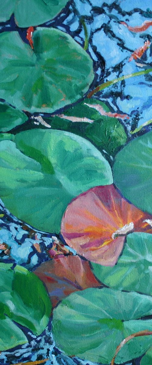 Water Lily Pads by Zoe Elizabeth Norman