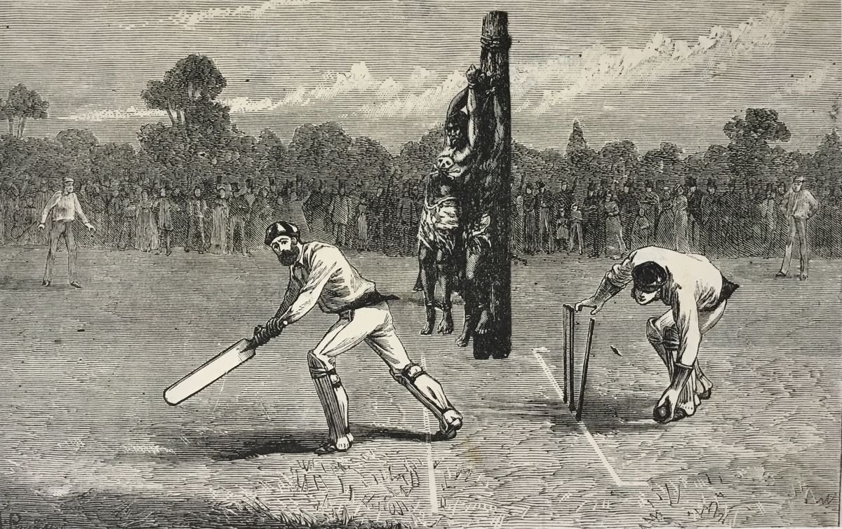 Bowled Out by Tudor Evans