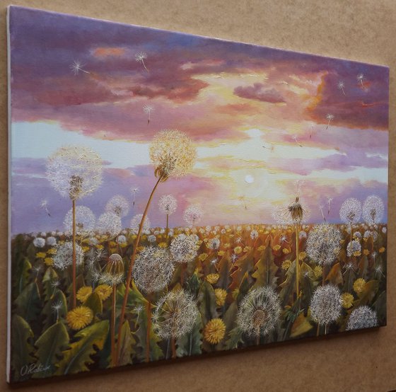 Dandelions in the Sun 3