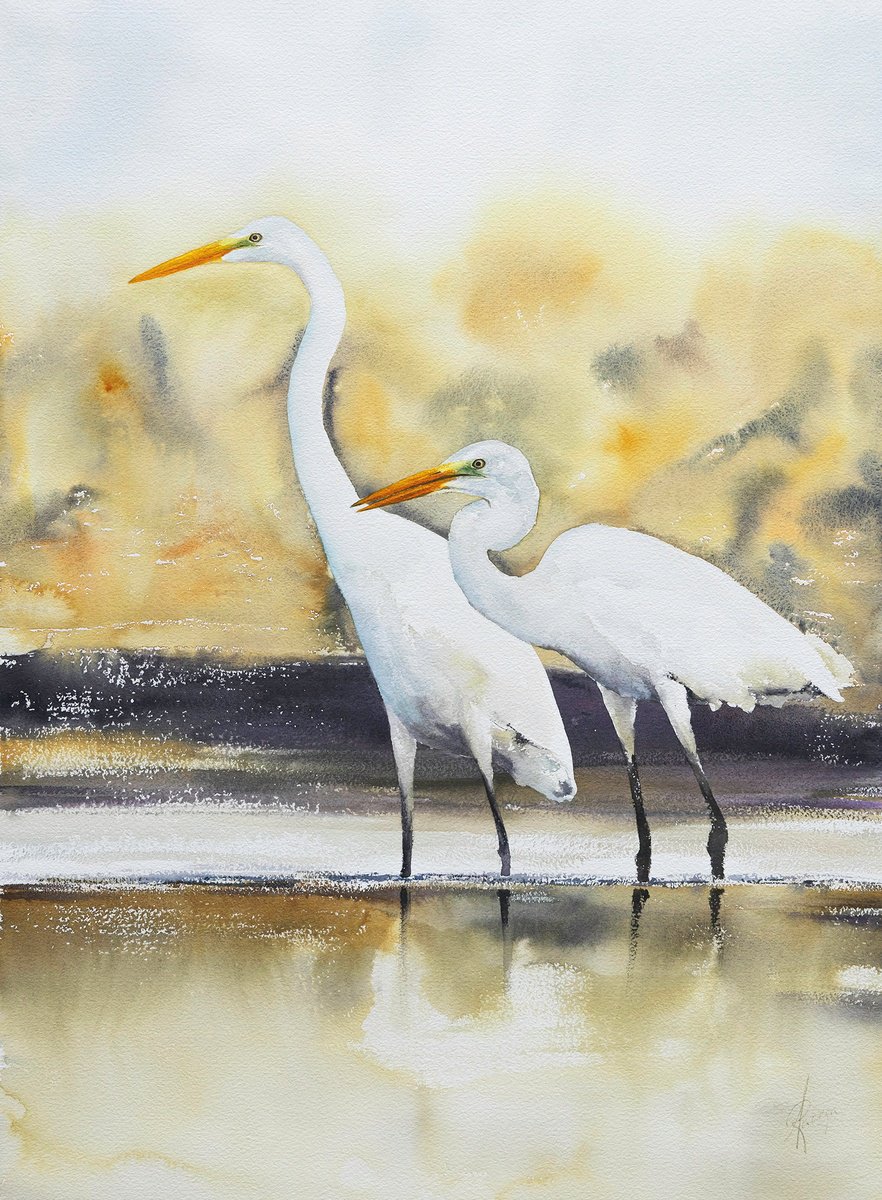 Animal Watercolour By Andrzej Rabiega, 22 X 30, The Great Egret, Original Artwork
