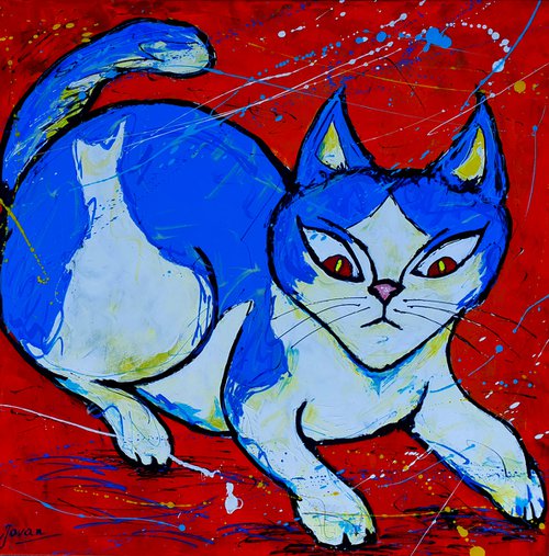 Blue Cat in the hunt by Jovan Srijemac