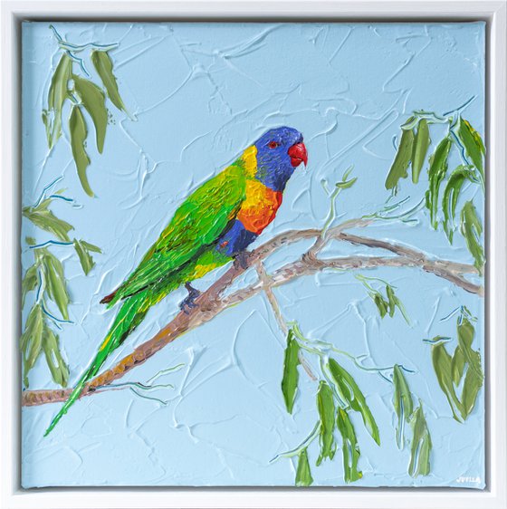 Rainbow Lorikeet