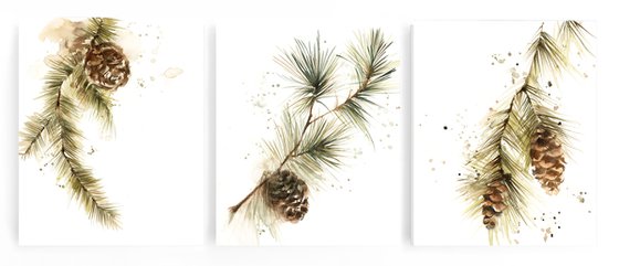 Pine Tree Branches with Pine Cones watercolor paintings 3 set