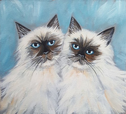 Himalayan cats by Mary Stubberfield