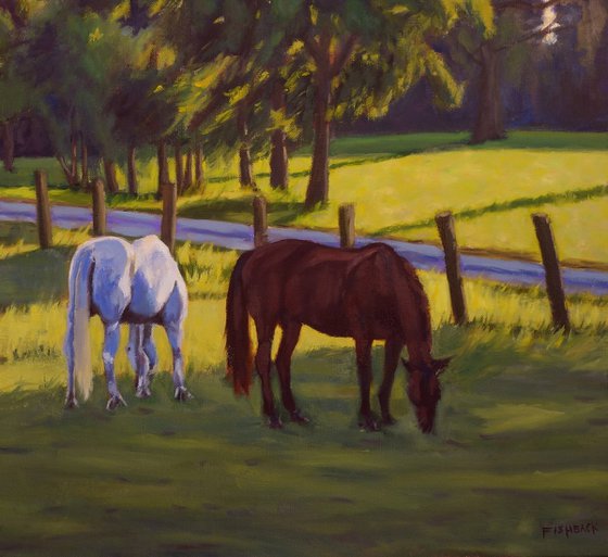 Horses Grazing