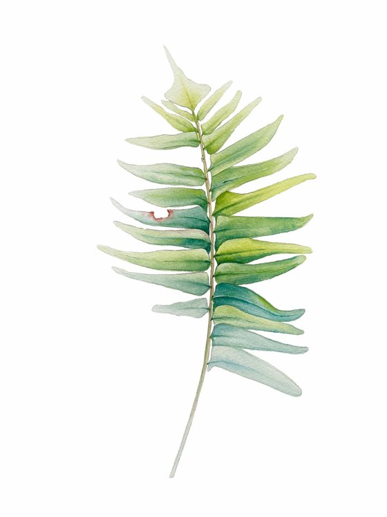 Fern leaf. Original watercolor artwork.