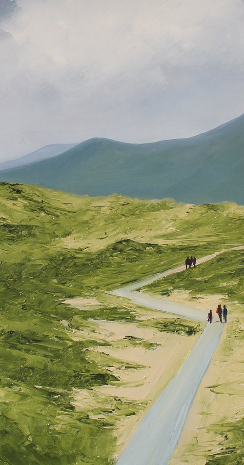 Murlough Boardwalk by John Halliday