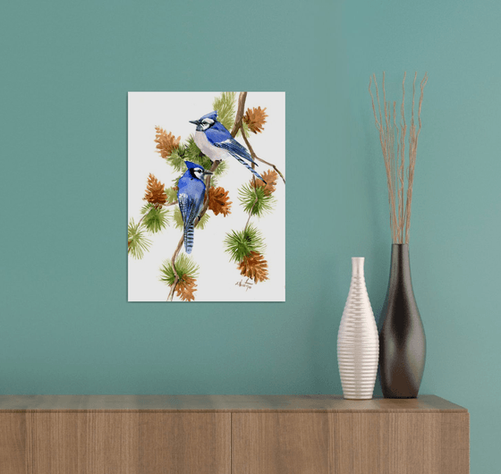 Blue Jays on the Pine